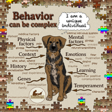 Complexity of behavior