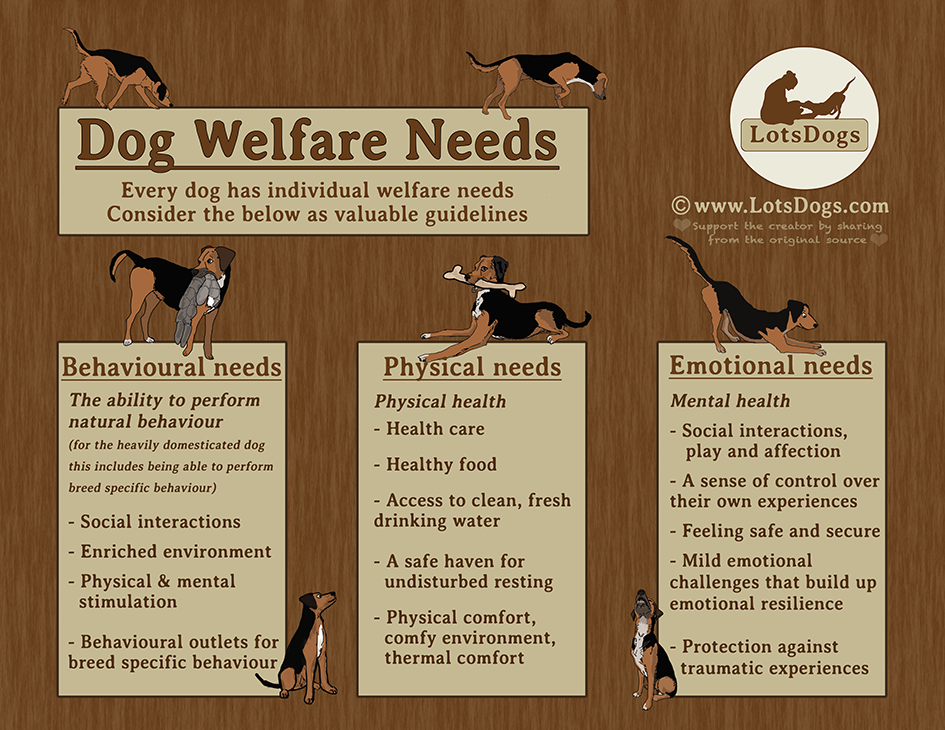 Dog welfare