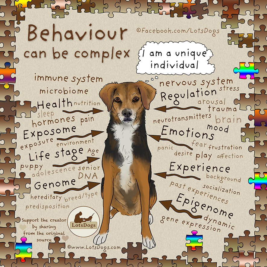 Updated Complexity of behavior